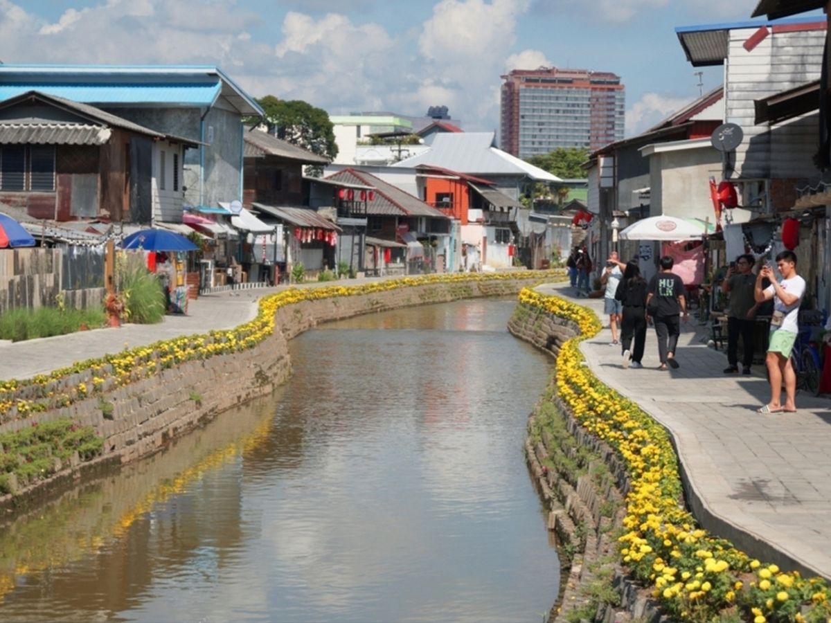 Canal walkway lined with yellow flowers in Chiang Mai, Thailand